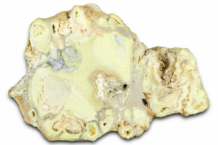 Clay Canyon Crandallite and Wardite - Old Collection Stock #361996
